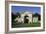 Gateway of the Fonthill Estate, Wiltshire, 2005-Peter Thompson-Framed Photographic Print