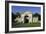 Gateway of the Fonthill Estate, Wiltshire, 2005-Peter Thompson-Framed Photographic Print