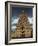 Gateway Shrine, Srirangam Temple, Tamil Nadu State, India-Woolfitt Adam-Framed Photographic Print