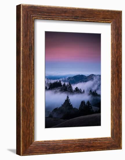 Gateway To Heaven, Beautiful Sunset and Fog at Mount Tamalpais, California-Vincent James-Framed Photographic Print