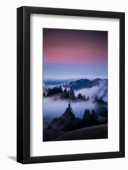 Gateway To Heaven, Beautiful Sunset and Fog at Mount Tamalpais, California-Vincent James-Framed Photographic Print