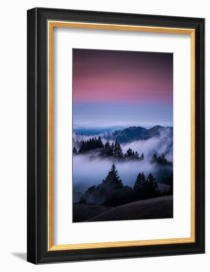 Gateway To Heaven, Beautiful Sunset and Fog at Mount Tamalpais, California-Vincent James-Framed Photographic Print