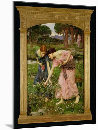 'Gather Ye Rosebuds While Ye May', 1909-John William Waterhouse-Mounted Giclee Print