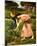 Gather Ye Rosebuds While Ye May-John William Waterhouse-Mounted Giclee Print