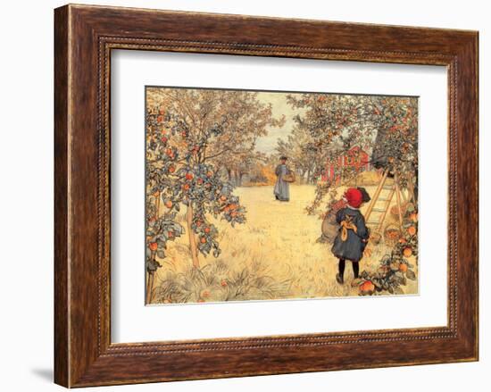 Gathering Apples, 1904-Carl Larsson-Framed Art Print
