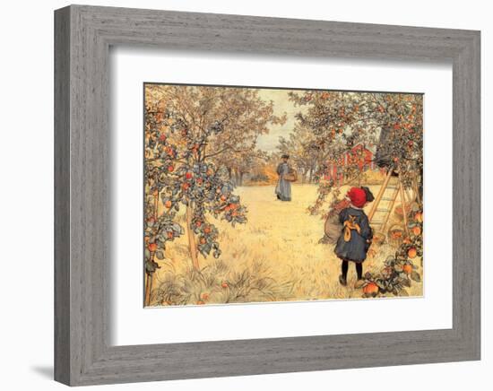 Gathering Apples, 1904-Carl Larsson-Framed Art Print