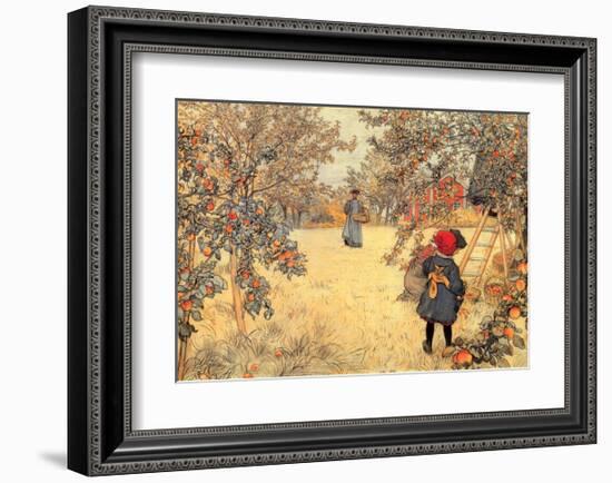 Gathering Apples, 1904-Carl Larsson-Framed Art Print