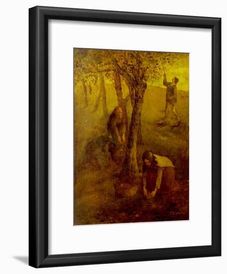 Gathering Apples-Jean-François Millet-Framed Giclee Print