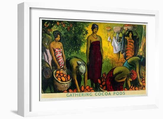 Gathering Cocoa Pods, from the Series 'What Gold Coast Prosperity Means'-Gerald Spencer Pryse-Framed Giclee Print