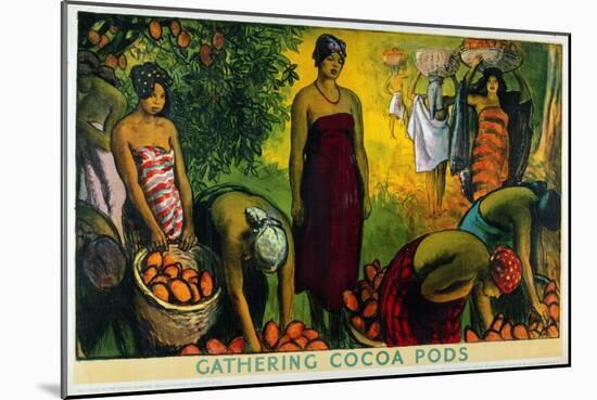 Gathering Cocoa Pods, from the Series 'What Gold Coast Prosperity Means'-Gerald Spencer Pryse-Mounted Giclee Print