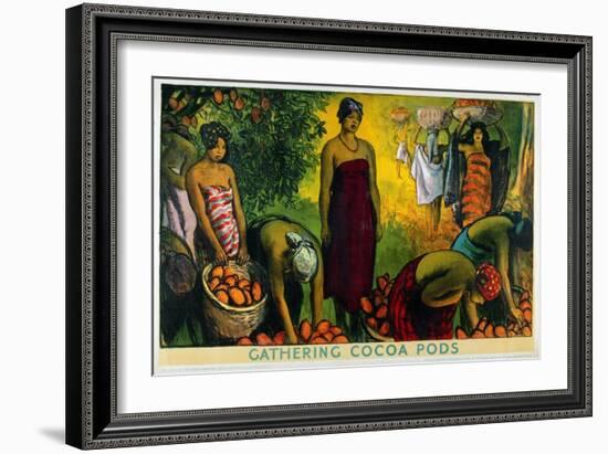 Gathering Cocoa Pods, from the Series 'What Gold Coast Prosperity Means'-Gerald Spencer Pryse-Framed Giclee Print