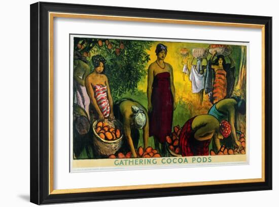 Gathering Cocoa Pods, from the Series 'What Gold Coast Prosperity Means'-Gerald Spencer Pryse-Framed Giclee Print