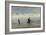 Gathering Driftwood, Holland, 1877-William Lionel Wyllie-Framed Giclee Print