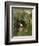 Gathering Flowers at Twilight-John Singer Sargent-Framed Giclee Print