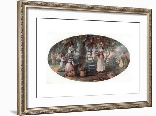 Gathering Fruit, Late 18th Century-William Hamilton-Framed Giclee Print