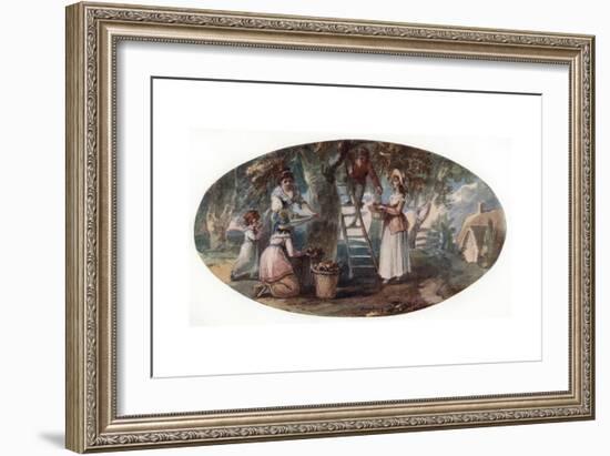 Gathering Fruit, Late 18th Century-William Hamilton-Framed Giclee Print