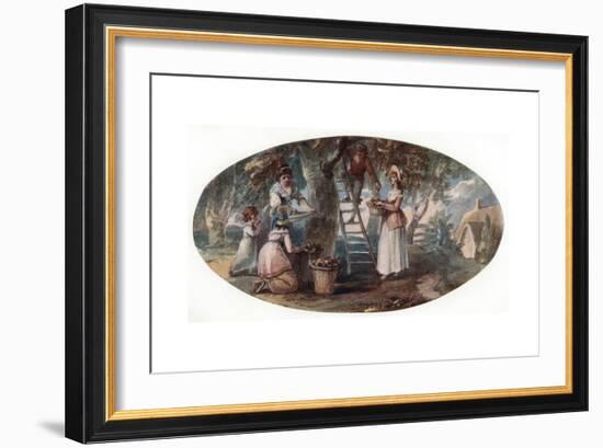 Gathering Fruit, Late 18th Century-William Hamilton-Framed Giclee Print