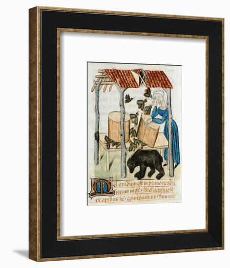 Gathering Honey from the Beehives-null-Framed Giclee Print