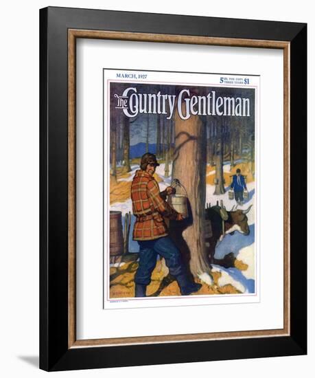 "Gathering Maple Syrup," Country Gentleman Cover, March 1, 1927-Newell Convers Wyeth-Framed Giclee Print