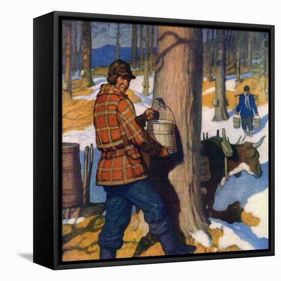 "Gathering Maple Syrup,"March 1, 1927-Newell Convers Wyeth-Framed Premier Image Canvas