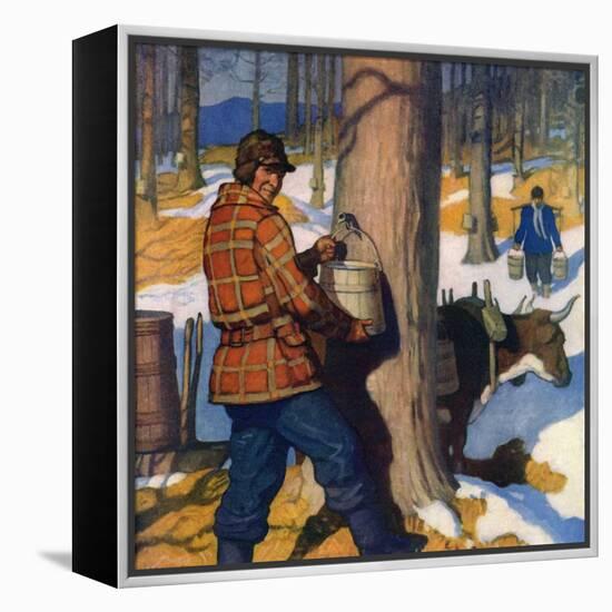 "Gathering Maple Syrup,"March 1, 1927-Newell Convers Wyeth-Framed Premier Image Canvas