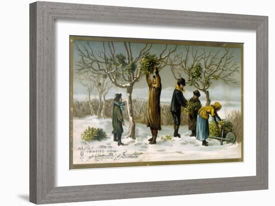 Gathering Mistletoe (Colour Litho)-English-Framed Giclee Print