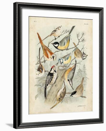 Gathering of Birds II-G. Lubbert-Framed Art Print