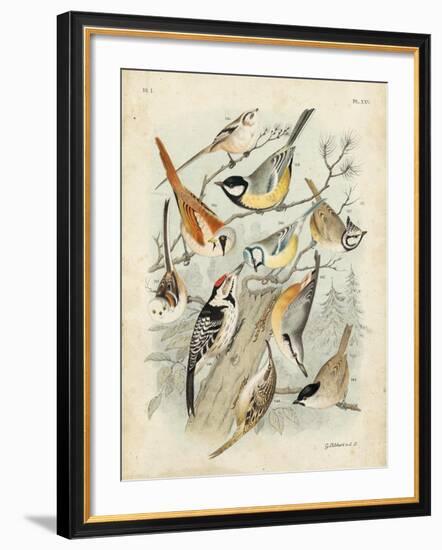 Gathering of Birds II-G. Lubbert-Framed Art Print