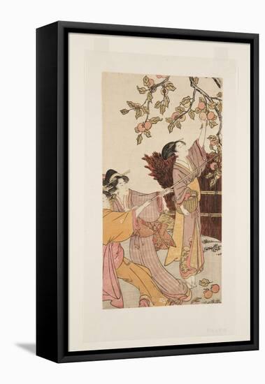 Gathering Persimmons (Colour Woodblock Print)-Kitagawa Utamaro-Framed Premier Image Canvas