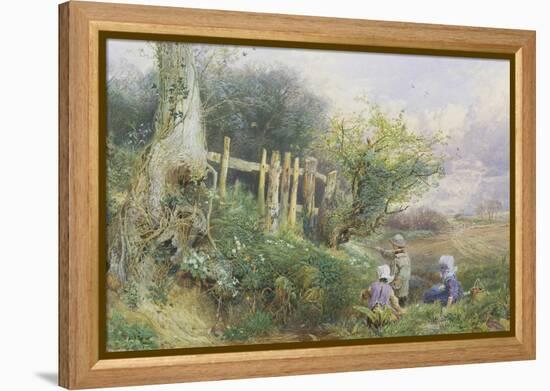 Gathering Primroses-Myles Birket Foster-Framed Premier Image Canvas