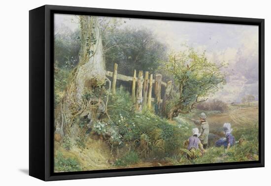 Gathering Primroses-Myles Birket Foster-Framed Premier Image Canvas