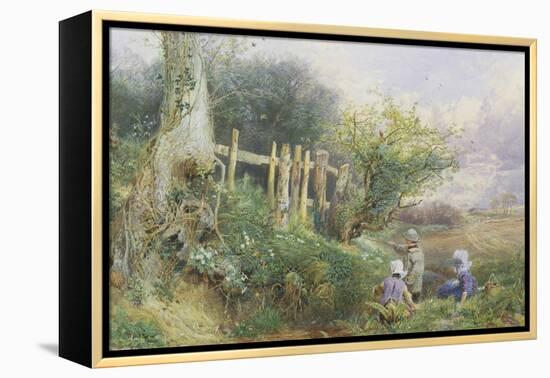 Gathering Primroses-Myles Birket Foster-Framed Premier Image Canvas