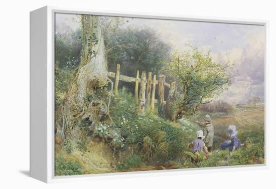 Gathering Primroses-Myles Birket Foster-Framed Premier Image Canvas