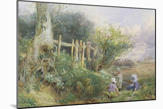 Gathering Primroses-Myles Birket Foster-Mounted Giclee Print