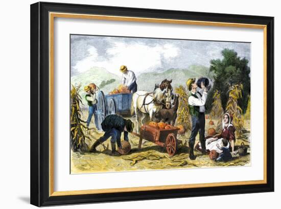 Gathering Pumpkins, an October Scene in New England, c.1860-null-Framed Giclee Print