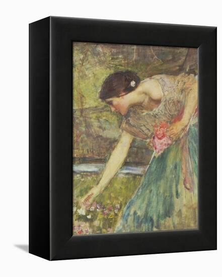 Gathering Roses-John William Waterhouse-Framed Premier Image Canvas