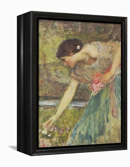 Gathering Roses-John William Waterhouse-Framed Premier Image Canvas