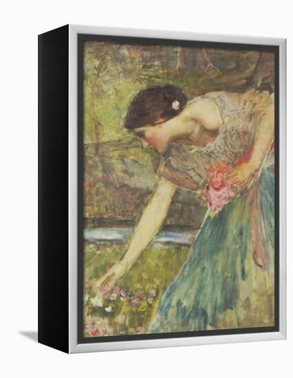 Gathering Roses-John William Waterhouse-Framed Premier Image Canvas