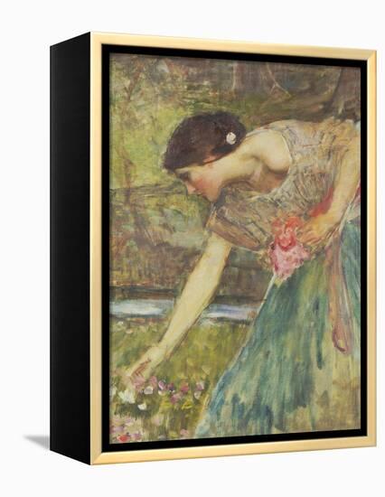 Gathering Roses-John William Waterhouse-Framed Premier Image Canvas