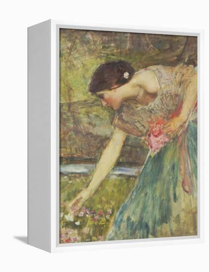 Gathering Roses-John William Waterhouse-Framed Premier Image Canvas