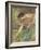 Gathering Roses-John William Waterhouse-Framed Giclee Print