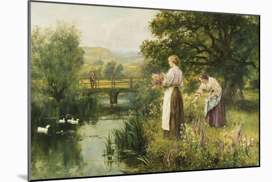 Gathering Spring Flowers-Henry John Yeend King-Mounted Giclee Print