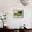 Gathering Spring Flowers-Henry John Yeend King-Framed Giclee Print displayed on a wall