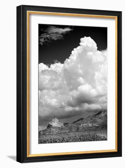 Gathering Summer Storm BW-Douglas Taylor-Framed Photographic Print