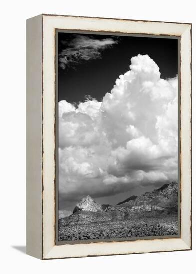 Gathering Summer Storm BW-Douglas Taylor-Framed Premier Image Canvas