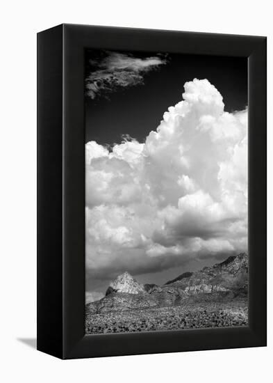 Gathering Summer Storm BW-Douglas Taylor-Framed Premier Image Canvas