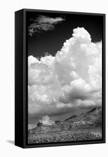 Gathering Summer Storm BW-Douglas Taylor-Framed Premier Image Canvas