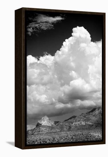 Gathering Summer Storm BW-Douglas Taylor-Framed Premier Image Canvas