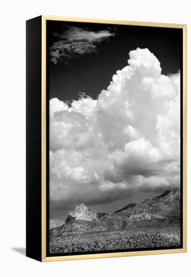 Gathering Summer Storm BW-Douglas Taylor-Framed Premier Image Canvas