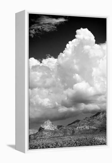 Gathering Summer Storm BW-Douglas Taylor-Framed Premier Image Canvas